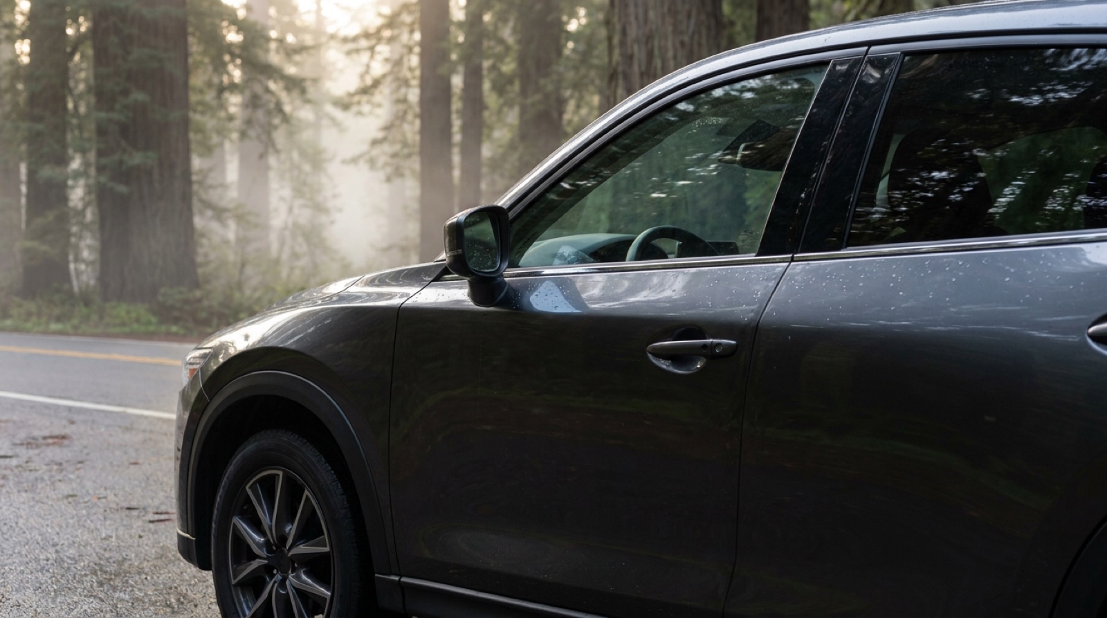 A midsize SUV parked at the edge of a tree-lined road in soft morning light
